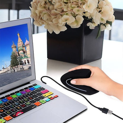 Souris ergonomique | Confort - Pro - Coin Numérique