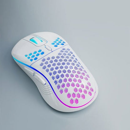 Souris sans fil | ErgoPower - Coin Numérique